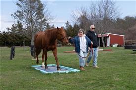 LR-WRF 0402026 Retreat-3512